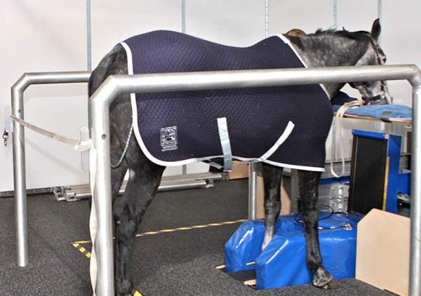 Advanced Diagnostic Imaging