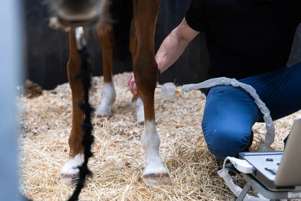 Surgery and Medical Referrals